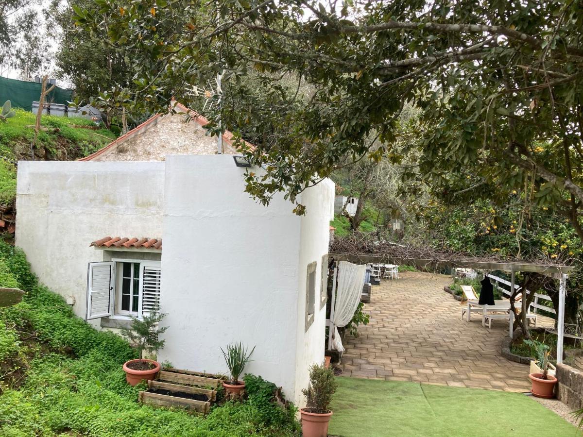 Moya  La Toscana De Corvo מראה חיצוני תמונה